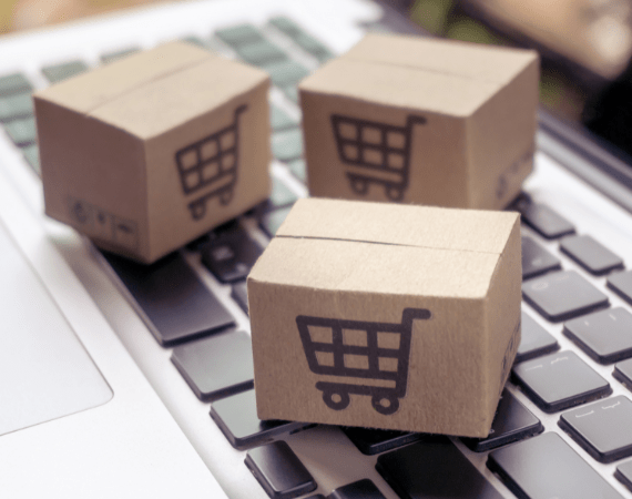 Unternehmensweite Einführung von SAP bei Dehner