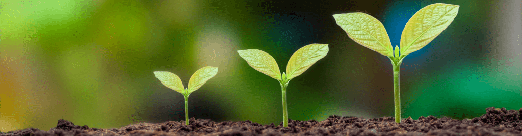 Talentförderung bei Dehner