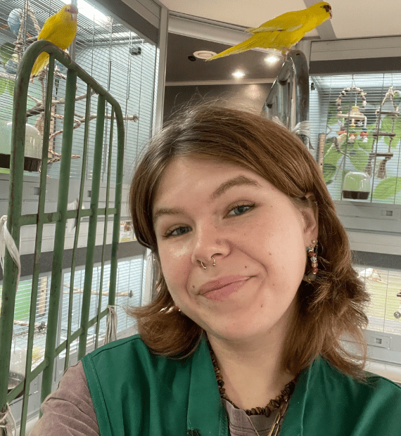 ausbildung_zoo_wachstum