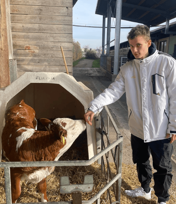 Junge mit einem kleine Kälbchen