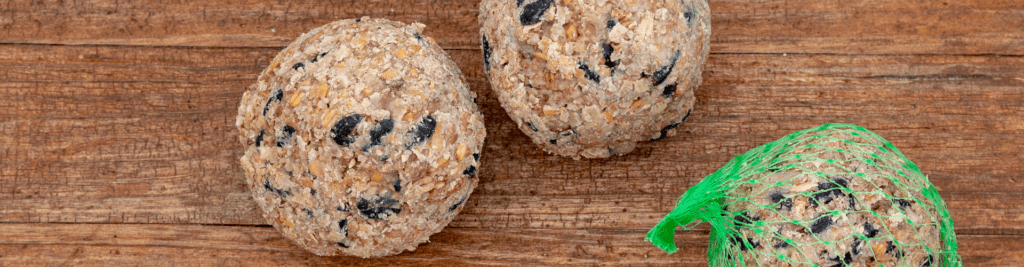 Drei Meisenknödel auf einem TIsch