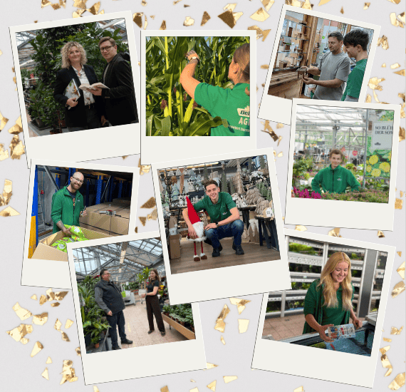 Eine Collage aus Mitarbeiter*innen der Dehner-Gruppe in verschiedenen Arbeitssituationen auf einem Konfetti-Hintergrund