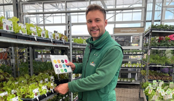 Ein Mann in grüner Jacke zeichnet Salatpflanzen mit dem richtigen Preis aus