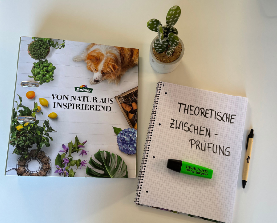 Ordner, Block, Stifte und Pflanze auf einem Schreibtisch