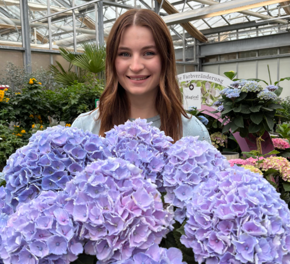Eine Frau steht in einem Garten-Center und hält eine große, lilafarbene Hortensie in den Händen