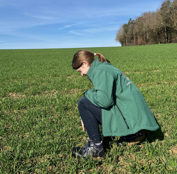 Eine Frau mit grüner Jacke kniet im Frühjahr in einem frisch angesäten Getreidefeld