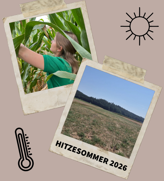 Pflanzenbauberaterin begutachtet Maisbestand, daneben ein von Trockenheit geprägtes Feld im Hitzesommer 2026