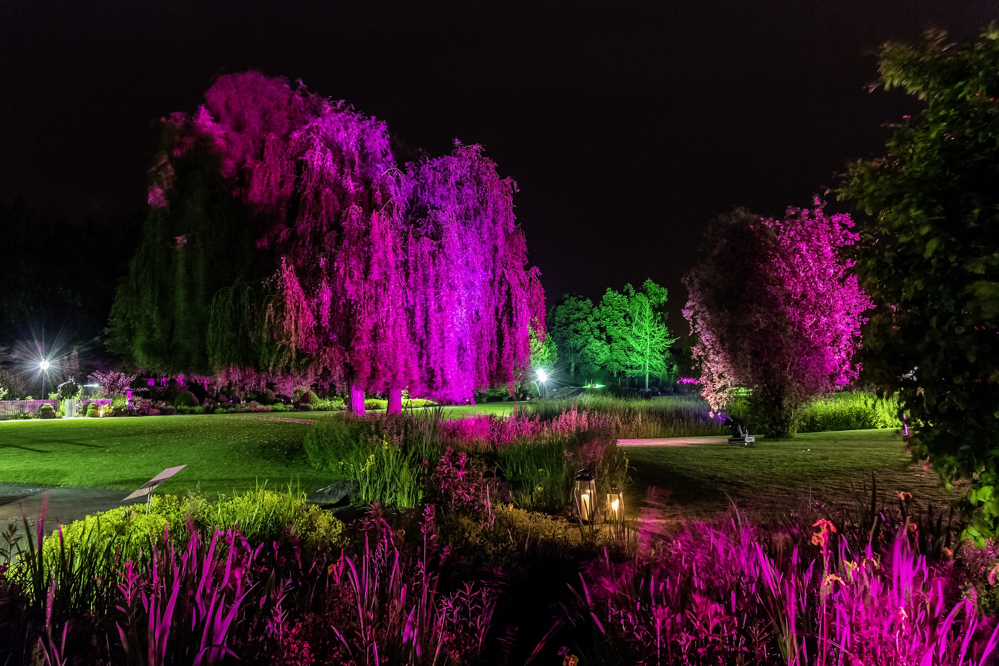 Illuminierter Schaugarten und Late-Night-Shopping im Blumenpark 2019 (Foto: Dehner/Archiv)